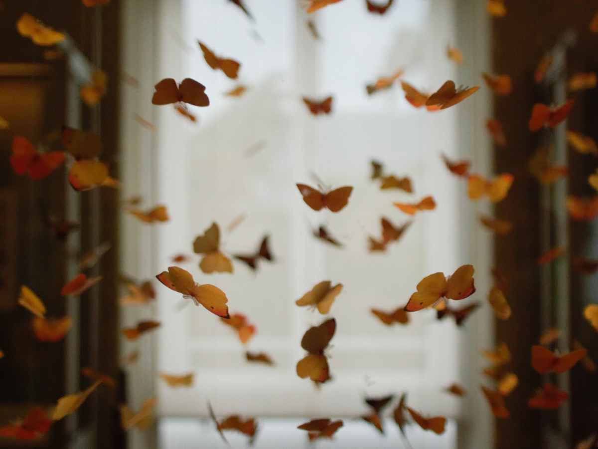 Writing Prompt: #1 Butterflies